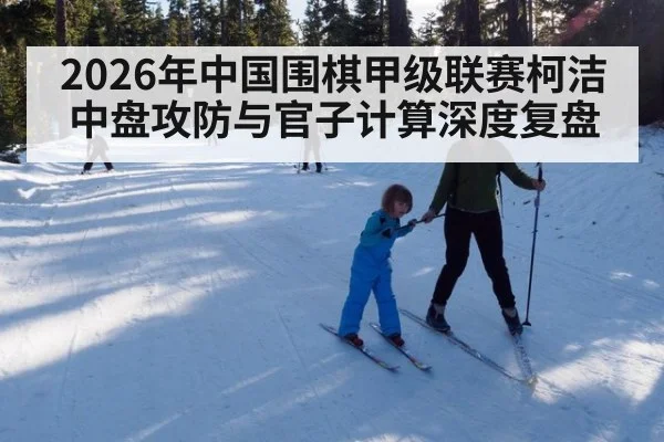 2026年中国围棋甲级联赛柯洁中盘攻防与官子计算深度复盘
