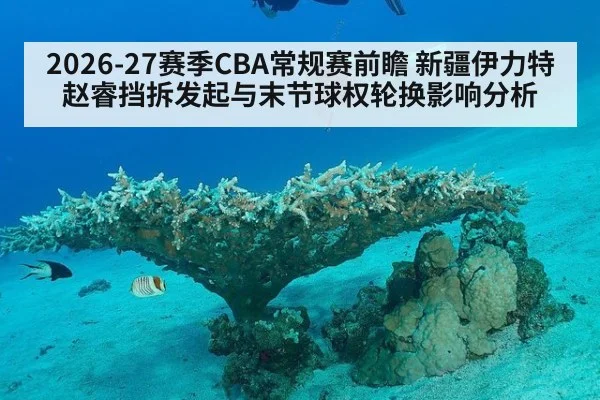 2026-27赛季CBA常规赛前瞻 新疆伊力特赵睿挡拆发起与末节球权轮换影响分析